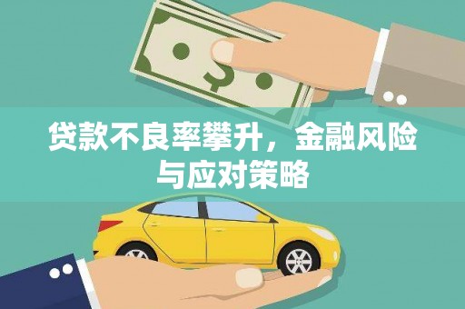 长岛贷款不良率攀升，金融风险与应对策略