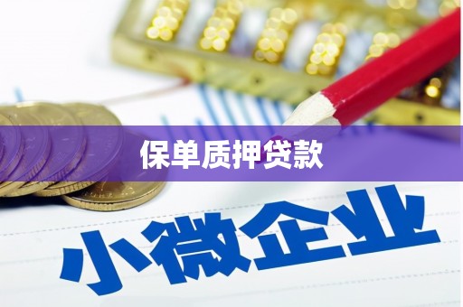 长岛保单质押贷款