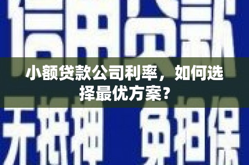 长岛小额贷款公司利率，如何选择最优方案？