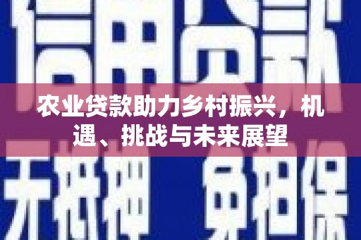 长岛农业贷款助力乡村振兴，机遇、挑战与未来展望