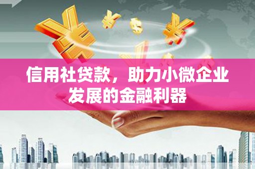 长岛信用社贷款，助力小微企业发展的金融利器