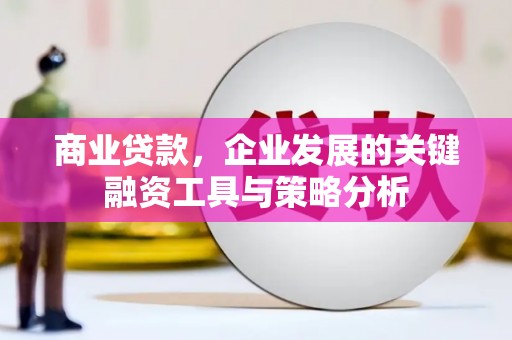 长岛商业贷款，企业发展的关键融资工具与策略分析