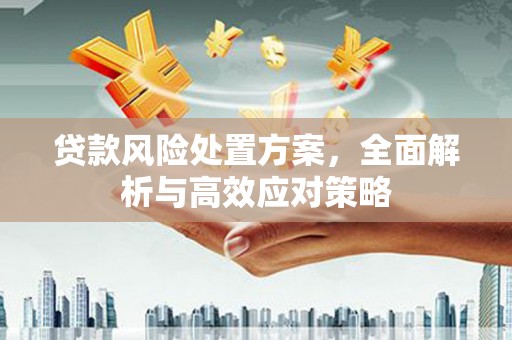 长岛贷款风险处置方案，全面解析与高效应对策略