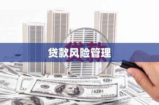 长岛贷款风险管理