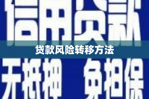 长岛贷款风险转移方法