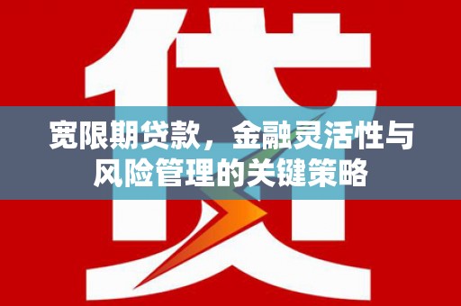 长岛宽限期贷款，金融灵活性与风险管理的关键策略