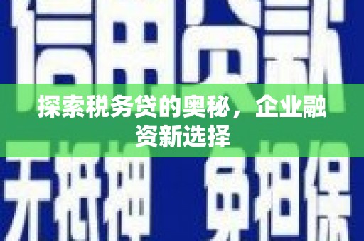 长岛探索税务贷的奥秘，企业融资新选择