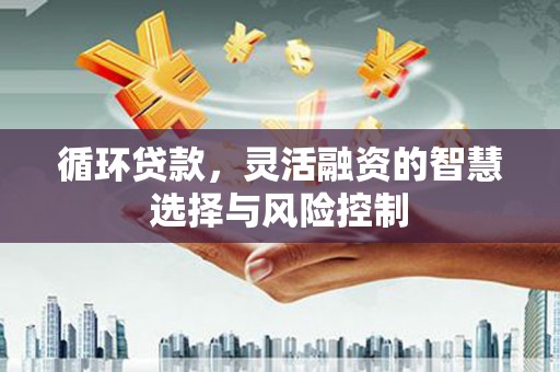 长岛循环贷款，灵活融资的智慧选择与风险控制