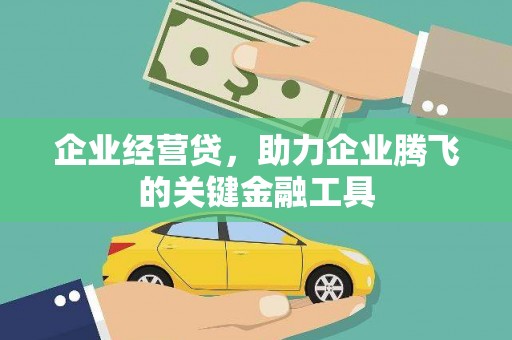 长岛企业经营贷，助力企业腾飞的关键金融工具