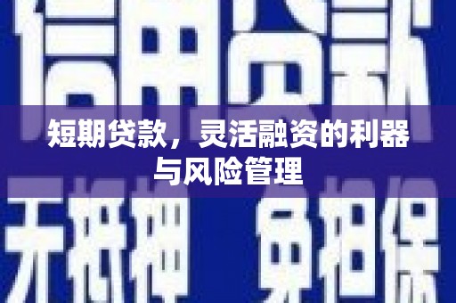 长岛短期贷款，灵活融资的利器与风险管理