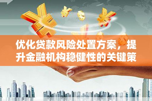 长岛优化贷款风险处置方案，提升金融机构稳健性的关键策略