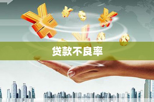 长岛贷款不良率