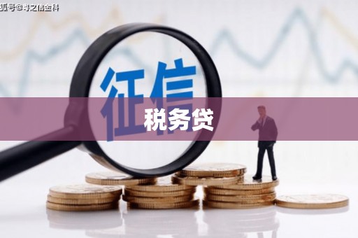 长岛税务贷