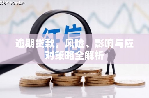 长岛逾期贷款，风险、影响与应对策略全解析