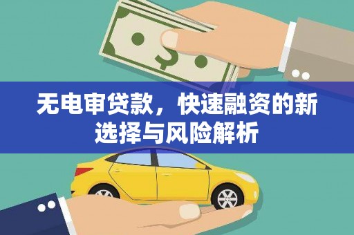长岛无电审贷款，快速融资的新选择与风险解析