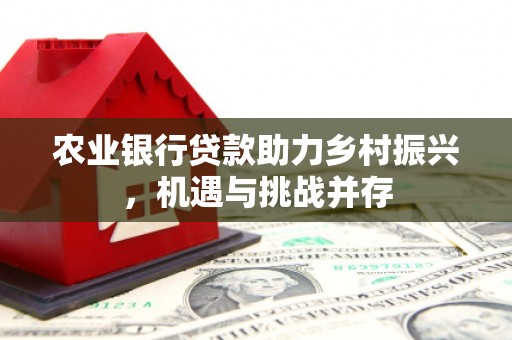 长岛农业银行贷款助力乡村振兴，机遇与挑战并存