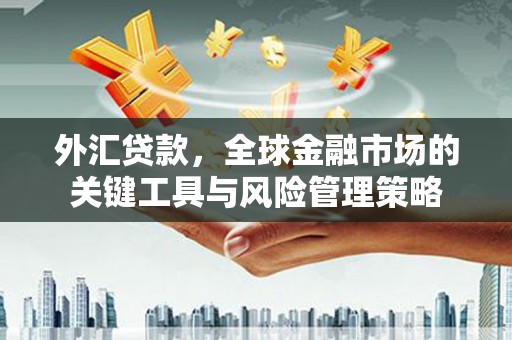 长岛外汇贷款，全球金融市场的关键工具与风险管理策略