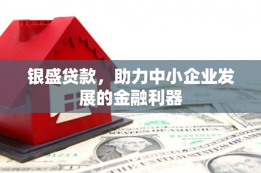 长岛银盛贷款，助力中小企业发展的金融利器