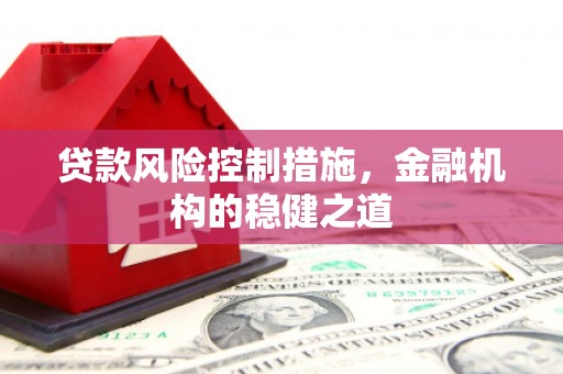长岛贷款风险控制措施，金融机构的稳健之道