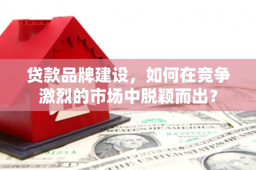 长岛贷款品牌建设，如何在竞争激烈的市场中脱颖而出？