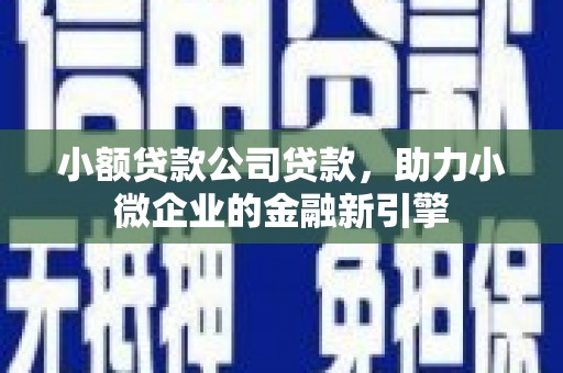 长岛小额贷款公司贷款，助力小微企业的金融新引擎