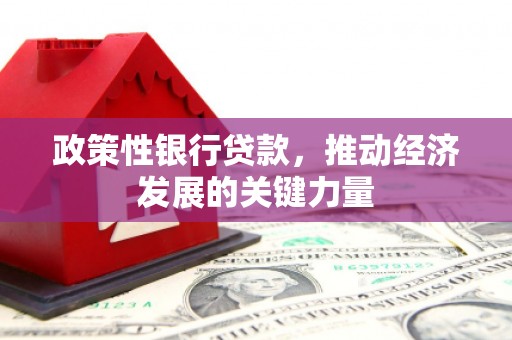 长岛政策性银行贷款，推动经济发展的关键力量
