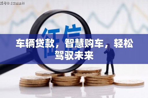 长岛车辆贷款，智慧购车，轻松驾驭未来