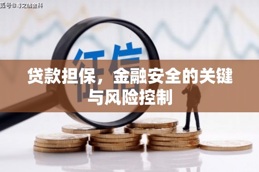 长岛贷款担保，金融安全的关键与风险控制