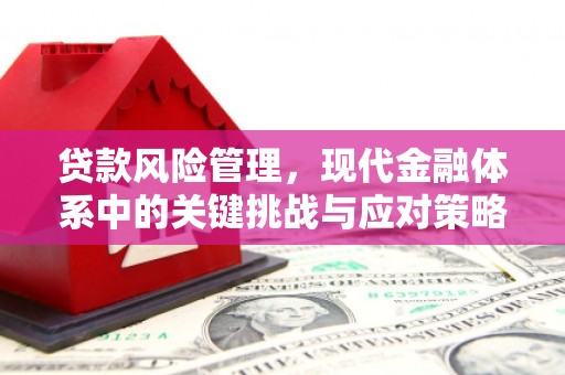 长岛贷款风险管理，现代金融体系中的关键挑战与应对策略