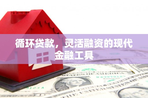 长岛循环贷款，灵活融资的现代金融工具