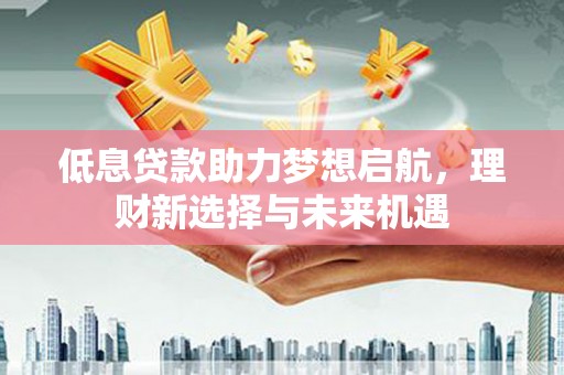 长岛低息贷款助力梦想启航，理财新选择与未来机遇