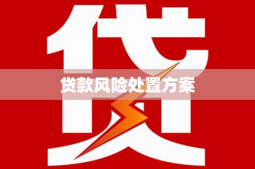 长岛贷款风险处置方案