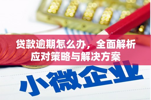 长岛贷款逾期怎么办，全面解析应对策略与解决方案