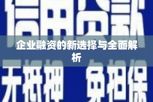 长岛企业融资的新选择与全面解析