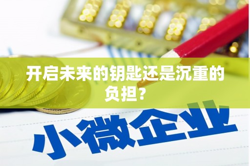 长岛开启未来的钥匙还是沉重的负担？