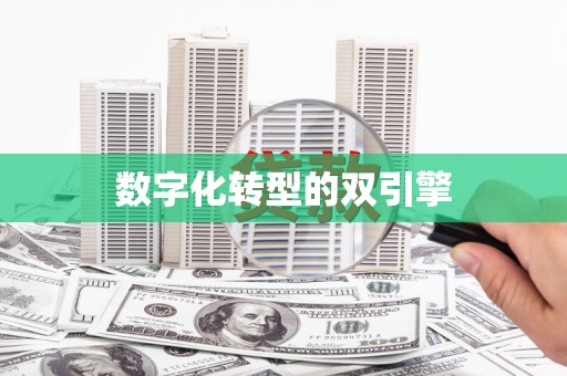 长岛数字化转型的双引擎