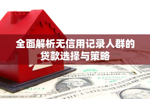 长岛全面解析无信用记录人群的贷款选择与策略