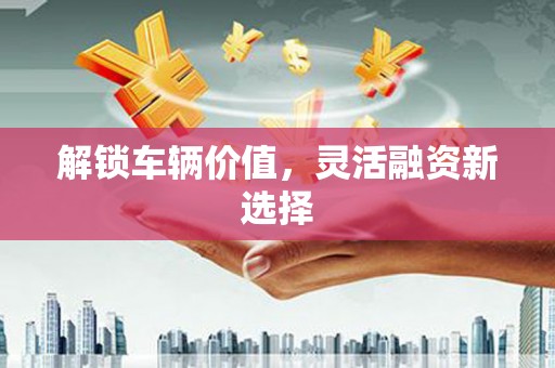 长岛解锁车辆价值，灵活融资新选择