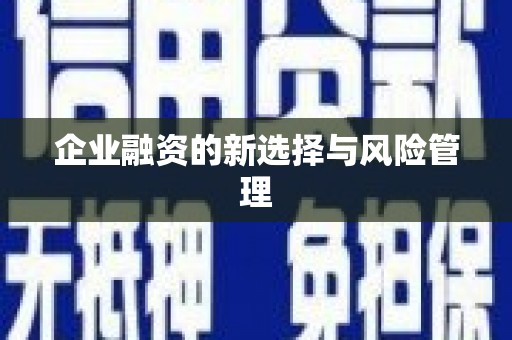 长岛企业融资的新选择与风险管理