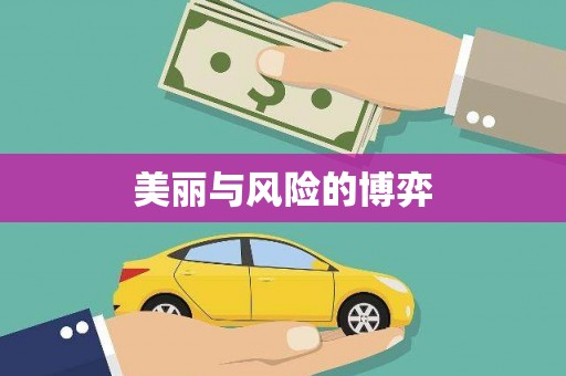 长岛美丽与风险的博弈
