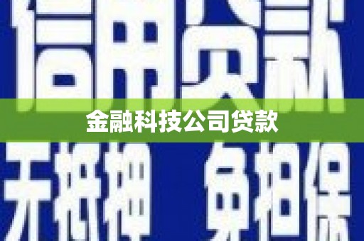 长岛金融科技公司贷款