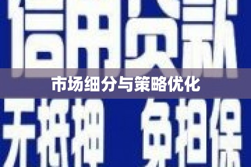 长岛市场细分与策略优化