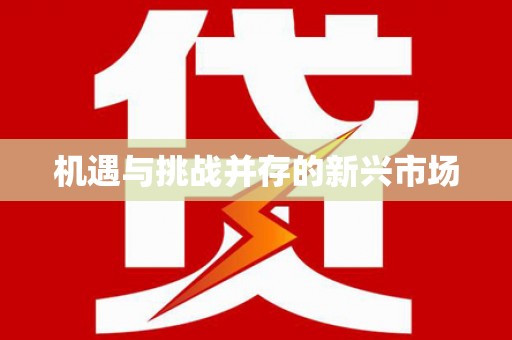 长岛机遇与挑战并存的新兴市场