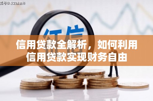 长岛信用贷款全解析，如何利用信用贷款实现财务自由