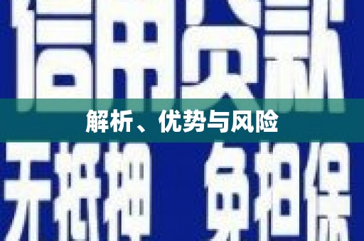 长岛解析、优势与风险