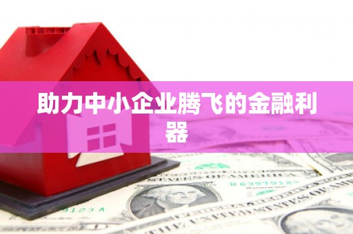 长岛助力中小企业腾飞的金融利器