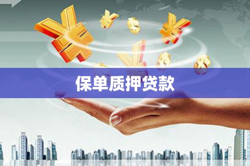 长岛保单质押贷款