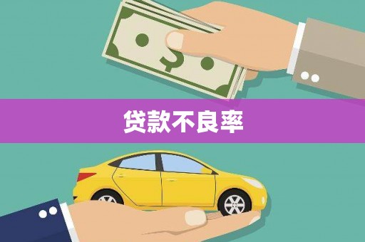 长岛贷款不良率