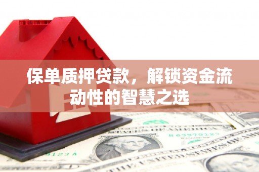 长岛保单质押贷款，解锁资金流动性的智慧之选