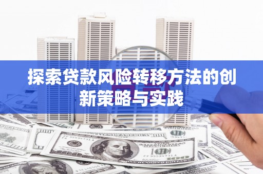 长岛探索贷款风险转移方法的创新策略与实践